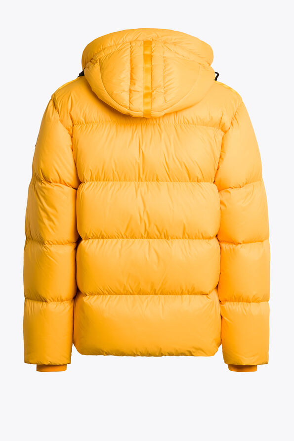 Parajumpers CLOUD YELLOW 24WMPMPUPP01P440519